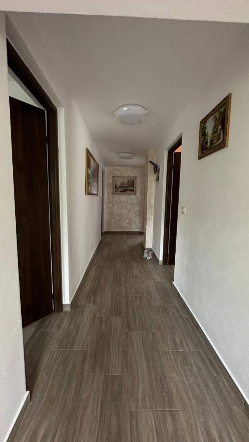 Apartamento Casa M&M Vişeu de Sus Exterior foto