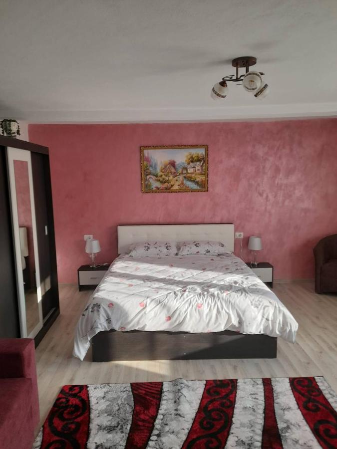 Apartamento Casa M&M Vişeu de Sus Exterior foto